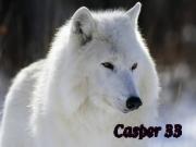   casper33