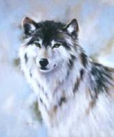   wolf wolvse
