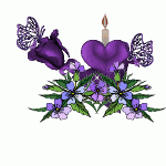  Violet flower