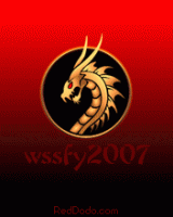     wssfy2007